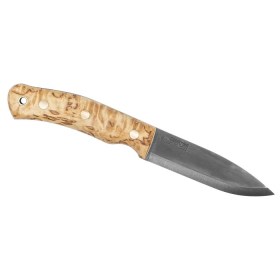 casstrom curley bitch 02